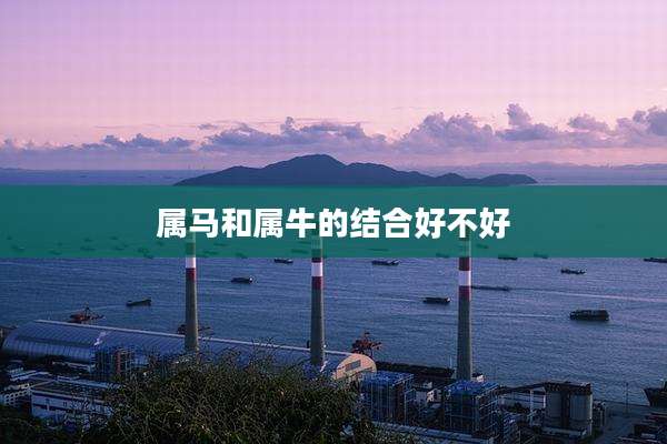 属马和属牛的结合好不好