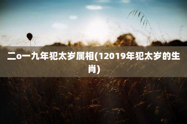 二o一九年犯太岁属相(12019年犯太岁的生肖)