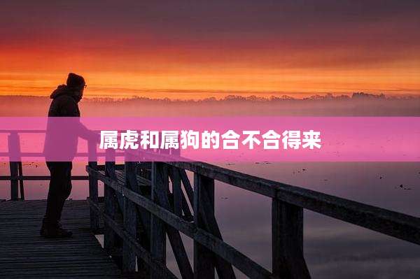属虎和属狗的合不合得来