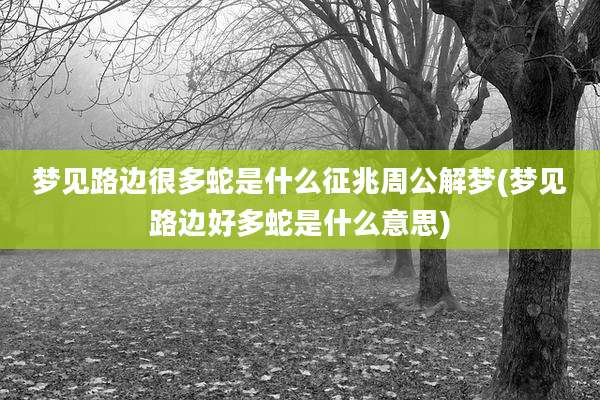 梦见路边很多蛇是什么征兆周公解梦(梦见路边好多蛇是什么意思)