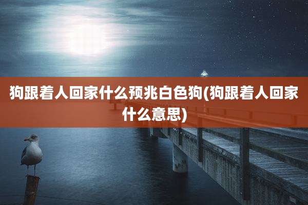 狗跟着人回家什么预兆白色狗(狗跟着人回家什么意思)