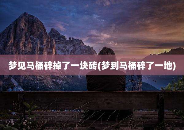 梦见马桶碎掉了一块砖(梦到马桶碎了一地)