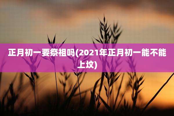 正月初一要祭祖吗(2021年正月初一能不能上坟)