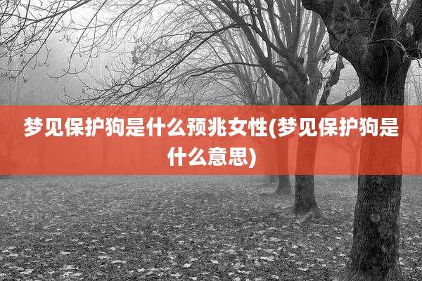 梦见保护狗是什么预兆女性(梦见保护狗是什么意思)