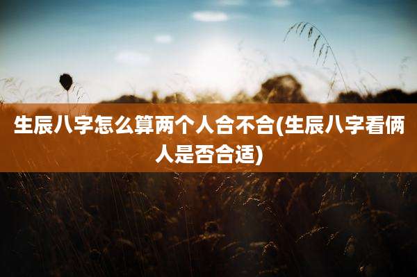 生辰八字怎么算两个人合不合(生辰八字看俩人是否合适)