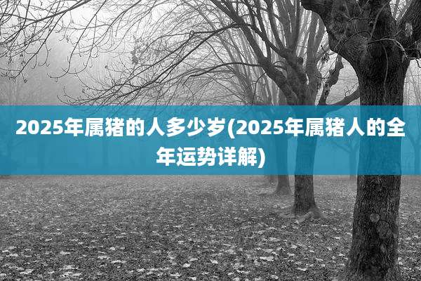 2025年属猪的人多少岁(2025年属猪人的全年运势详解)