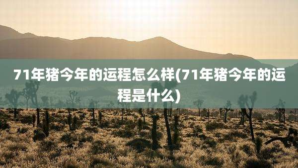 71年猪今年的运程怎么样(71年猪今年的运程是什么)