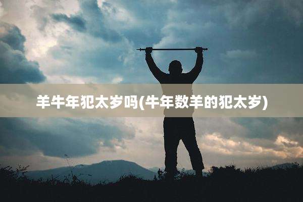 羊牛年犯太岁吗(牛年数羊的犯太岁)