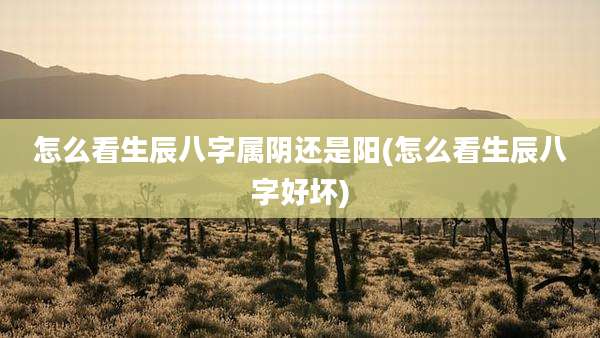 怎么看生辰八字属阴还是阳(怎么看生辰八字好坏)