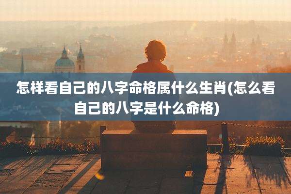 怎样看自己的八字命格属什么生肖(怎么看自己的八字是什么命格)