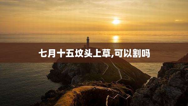 七月十五坟头上草,可以割吗