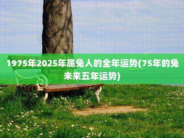 1975年2025年属兔人的全年运势(75年的兔未来五年运势)