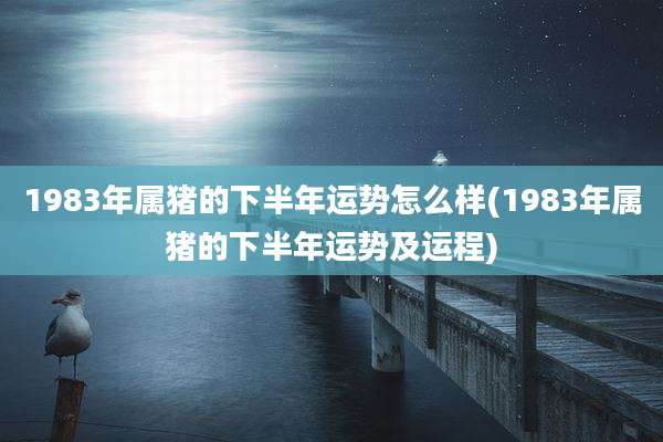 1983年属猪的下半年运势怎么样(1983年属猪的下半年运势及运程)