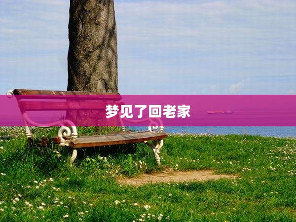 梦见了回老家