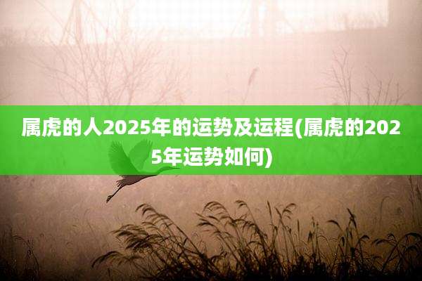 属虎的人2025年的运势及运程(属虎的2025年运势如何)