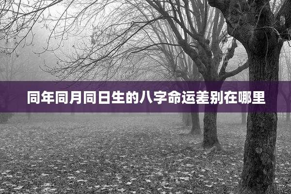 同年同月同日生的八字命运差别在哪里