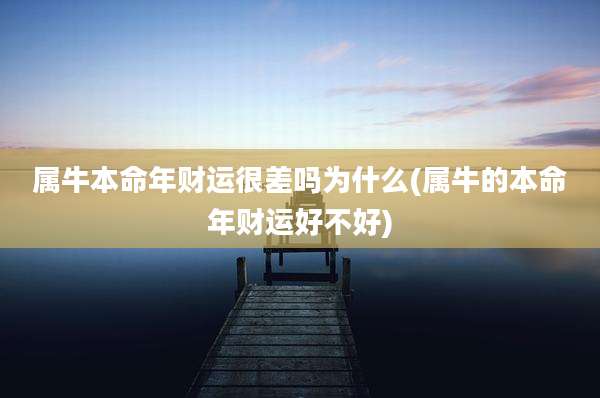 属牛本命年财运很差吗为什么(属牛的本命年财运好不好)