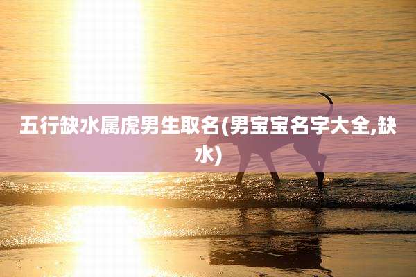 五行缺水属虎男生取名(男宝宝名字大全,缺水)