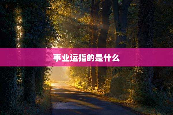 事业运指的是什么