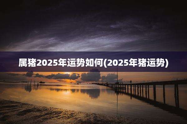 属猪2025年运势如何(2025年猪运势)