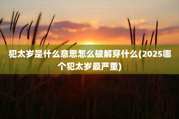 犯太岁是什么意思怎么破解穿什么(2025哪个犯太岁最严重)