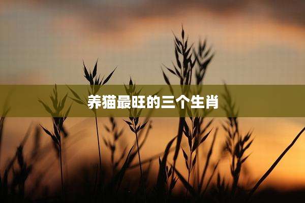 养猫最旺的三个生肖
