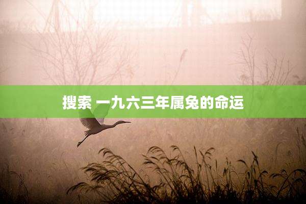 搜索 一九六三年属兔的命运