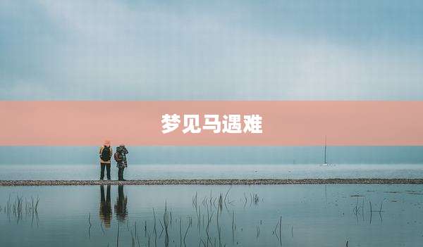 梦见马遇难