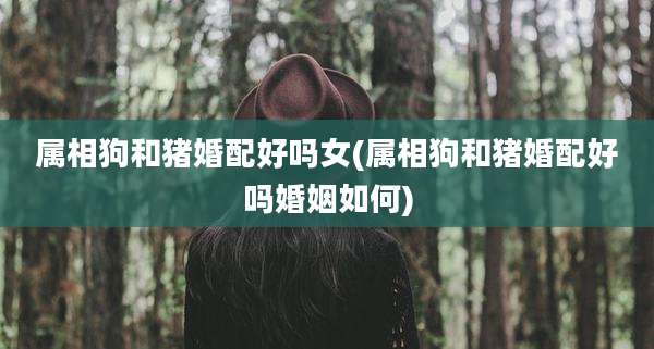 属相狗和猪婚配好吗女(属相狗和猪婚配好吗婚姻如何)