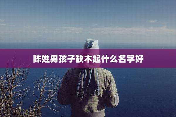 陈姓男孩子缺木起什么名字好