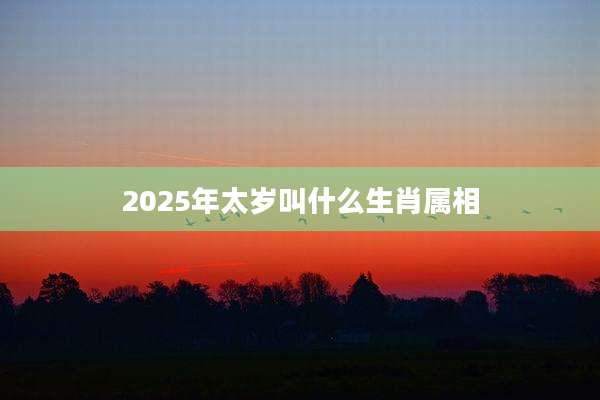 2025年太岁叫什么生肖属相