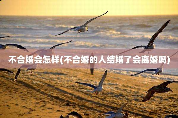 不合婚会怎样(不合婚的人结婚了会离婚吗)