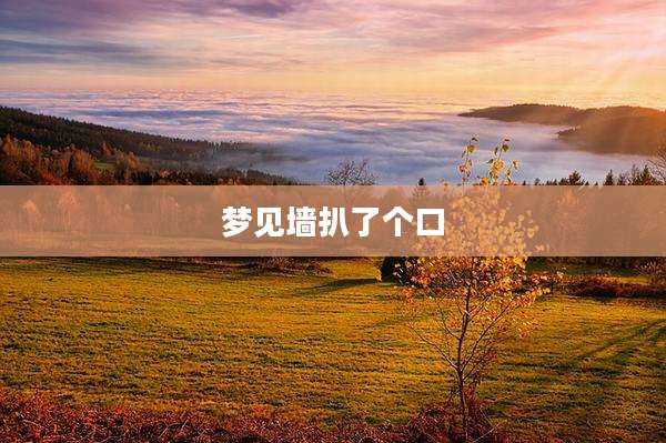 梦见墙扒了个口
