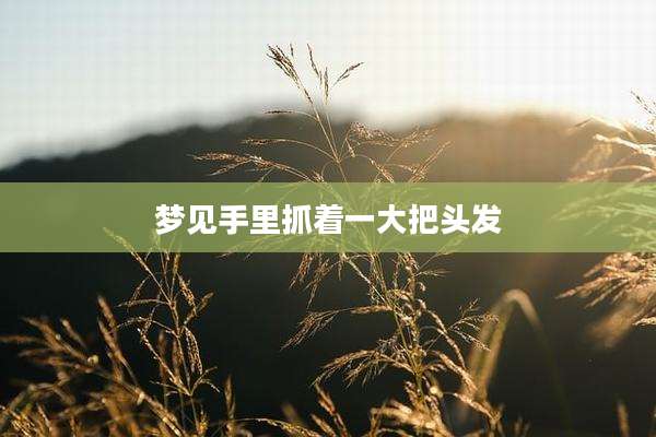 梦见手里抓着一大把头发