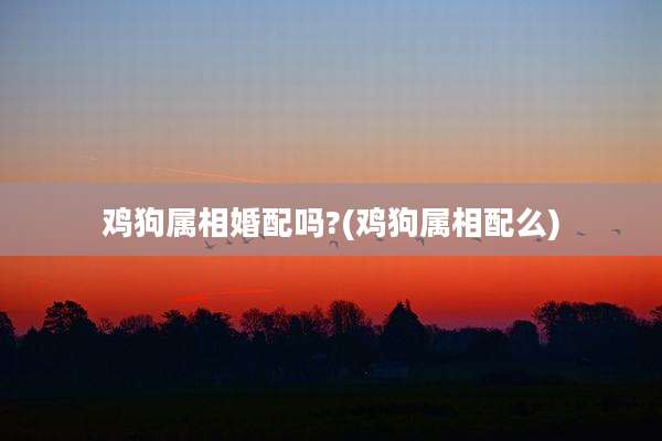 鸡狗属相婚配吗?(鸡狗属相配么)