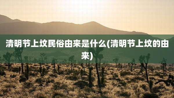 清明节上坟民俗由来是什么(清明节上坟的由来)
