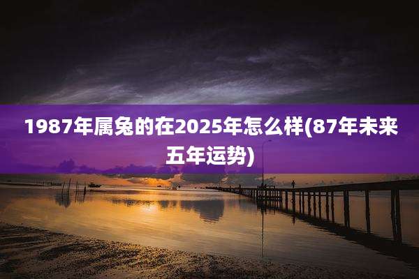 1987年属兔的在2025年怎么样(87年未来五年运势)