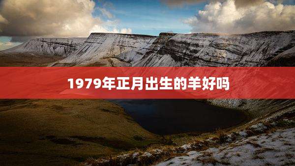 1979年正月出生的羊好吗