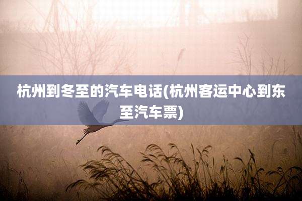 杭州到冬至的汽车电话(杭州客运中心到东至汽车票)