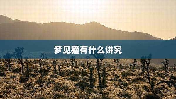 梦见猫有什么讲究