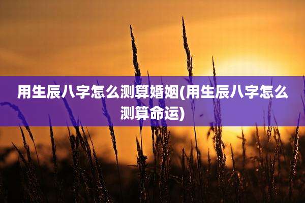 用生辰八字怎么测算婚姻(用生辰八字怎么测算命运)