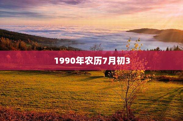 1990年农历7月初3