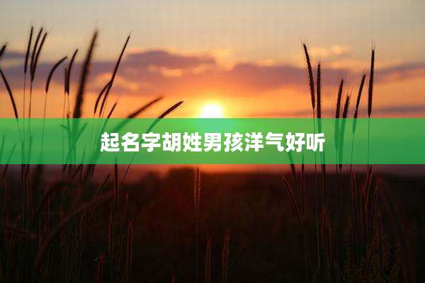 起名字胡姓男孩洋气好听