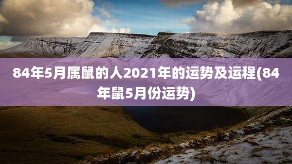 84年5月属鼠的人2021年的运势及运程(84年鼠5月份运势)
