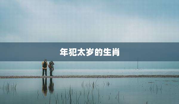年犯太岁的生肖
