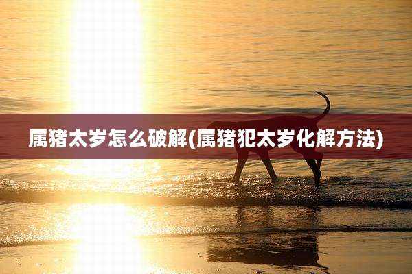 属猪太岁怎么破解(属猪犯太岁化解方法)