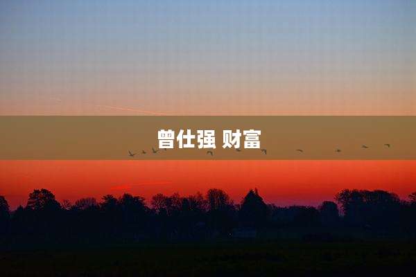 曾仕强 财富