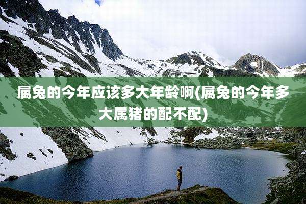属兔的今年应该多大年龄啊(属兔的今年多大属猪的配不配)