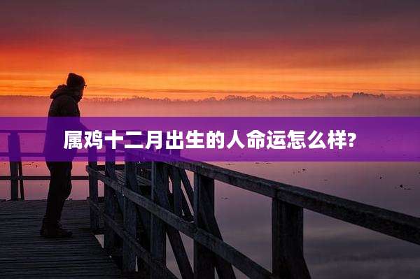 属鸡十二月出生的人命运怎么样?