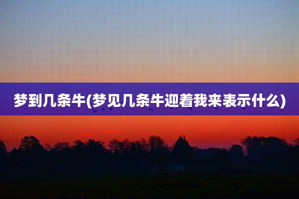 梦到几条牛(梦见几条牛迎着我来表示什么)